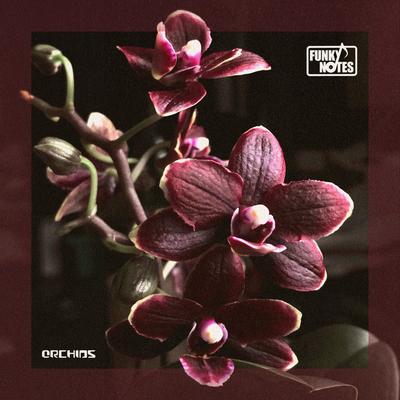 Orchids By Funky Notes's cover