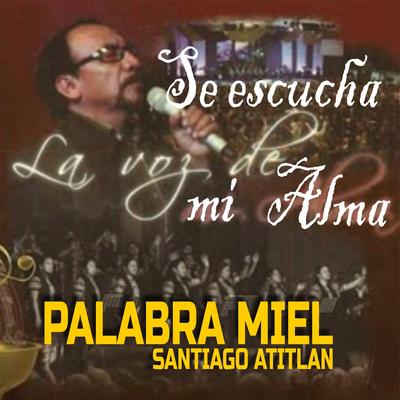 Se Escucha La Voz De Mi Alma's cover