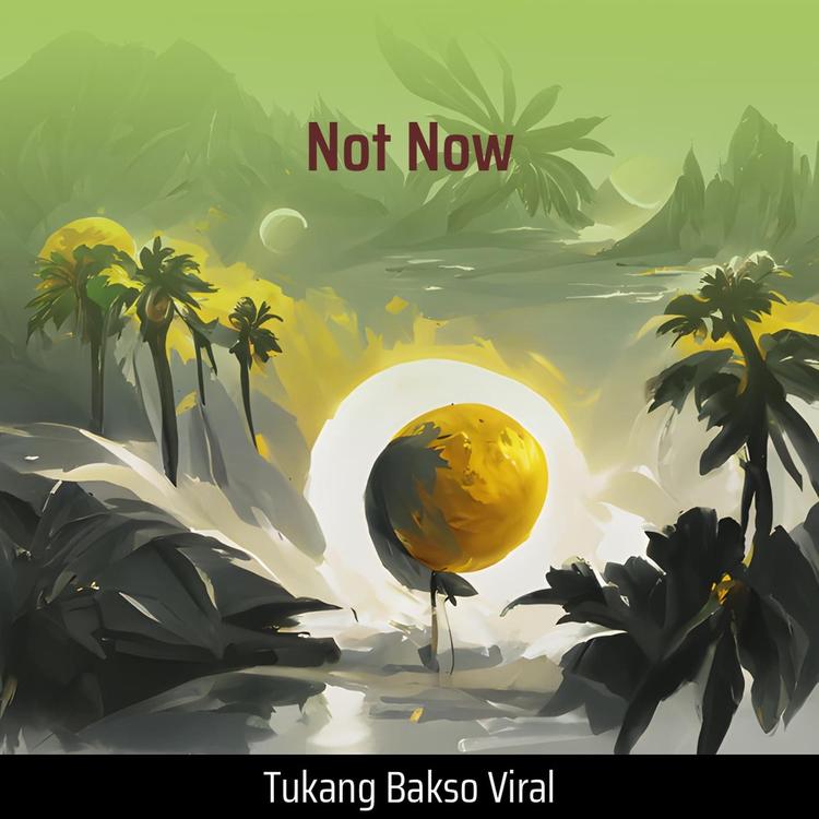 Tukang Bakso Viral's avatar image