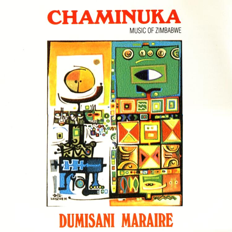 Dumisani Maraire's avatar image