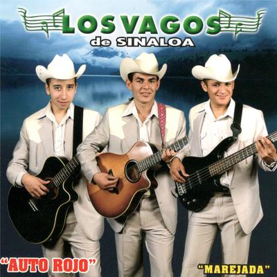 Los Vagos De Sinaloa's cover