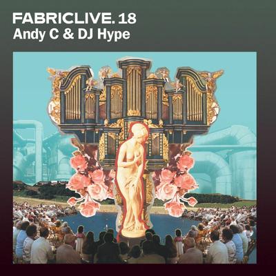 FABRICLIVE 18: Andy C & DJ Hype's cover