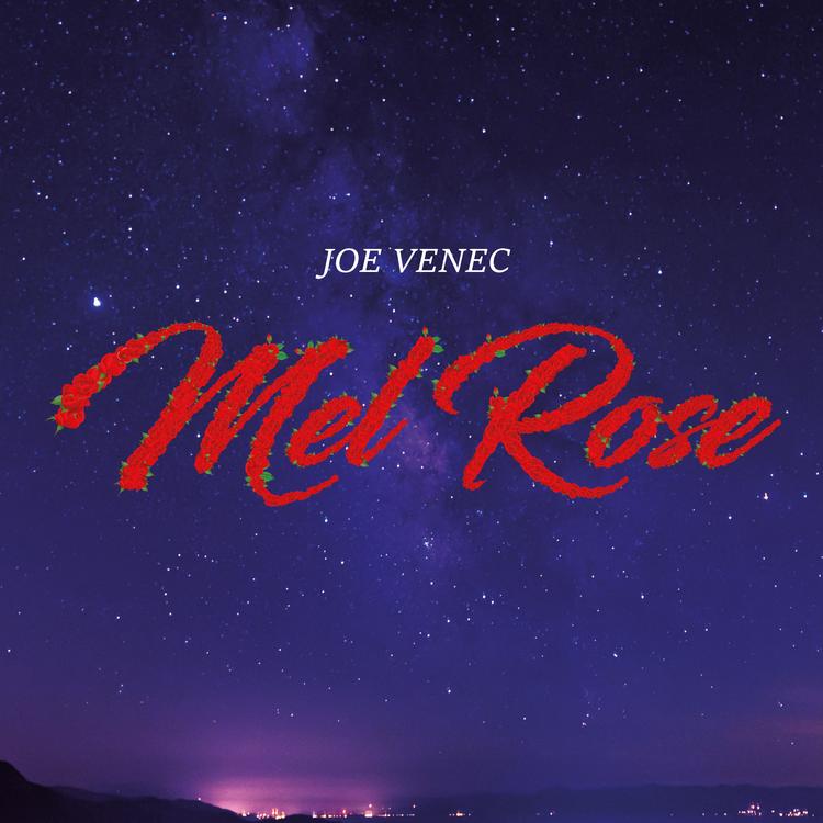 Joe Venec's avatar image