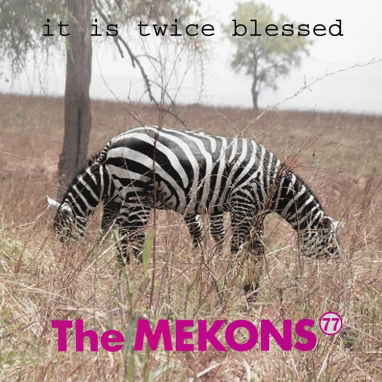 The Mekons 77's avatar image