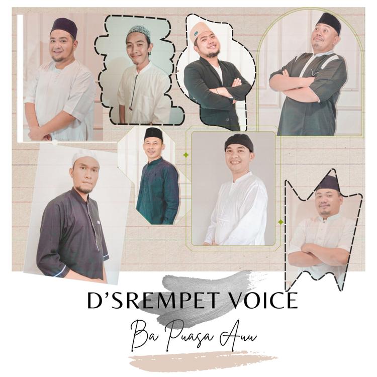 D'Srempet Voice's avatar image