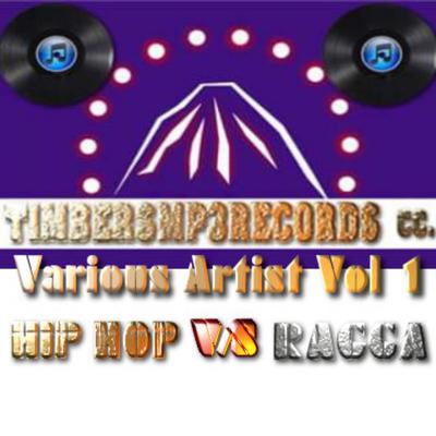 Timbersmp3records Vol 1 (Hip Hop V/s Ragga)'s cover