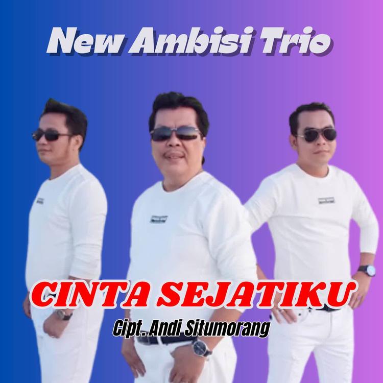 New Ambisi Trio's avatar image