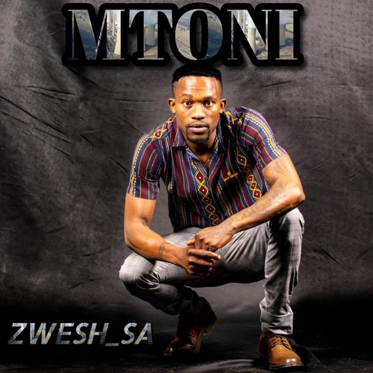 ZWESH_SA's avatar image