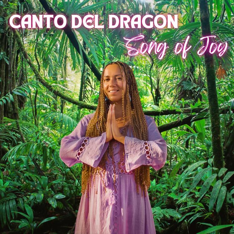 Canto del Dragon's avatar image