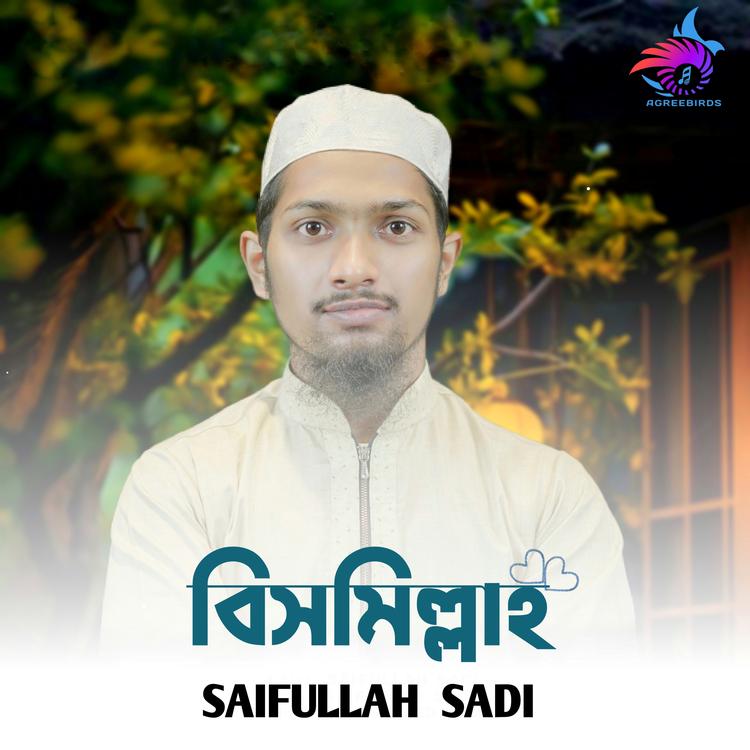 Saifullah Sadi's avatar image