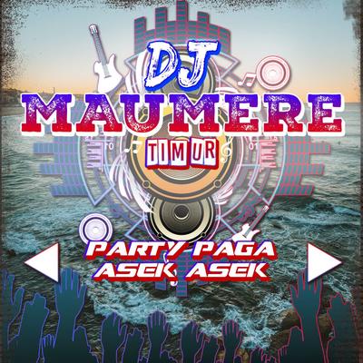 DJ Party Paga Asek Asek's cover