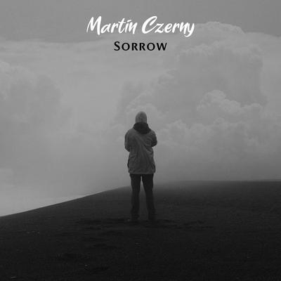 The Lonely Tree By Martin Czerny's cover