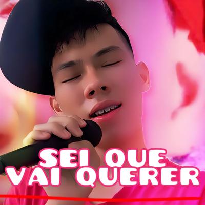 SEI QUE VAI QUERER's cover