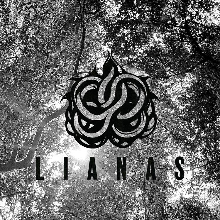 LIANAS's avatar image