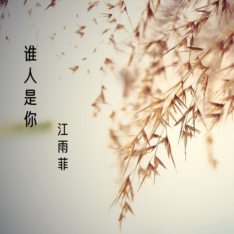 江雨菲's avatar image
