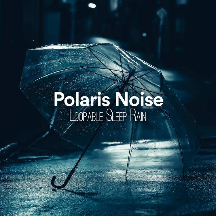 Polaris Noise's avatar image