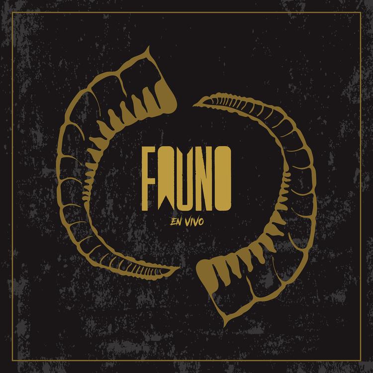 Fauno's avatar image
