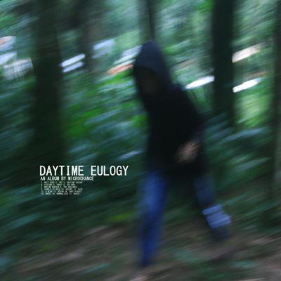 Daytime Eulogy's cover