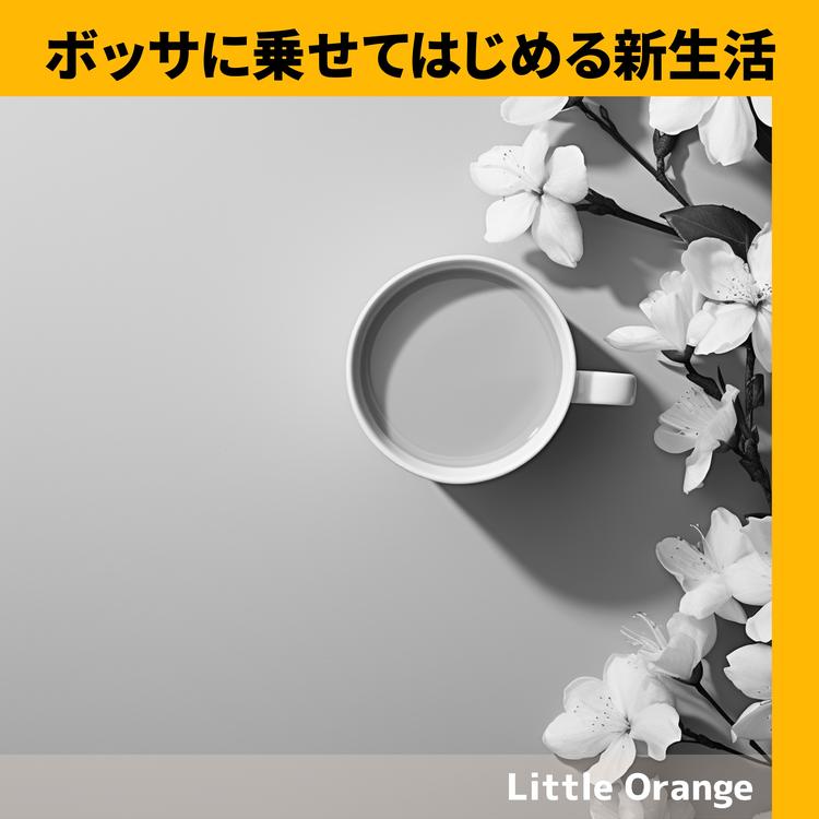 Little Orange's avatar image