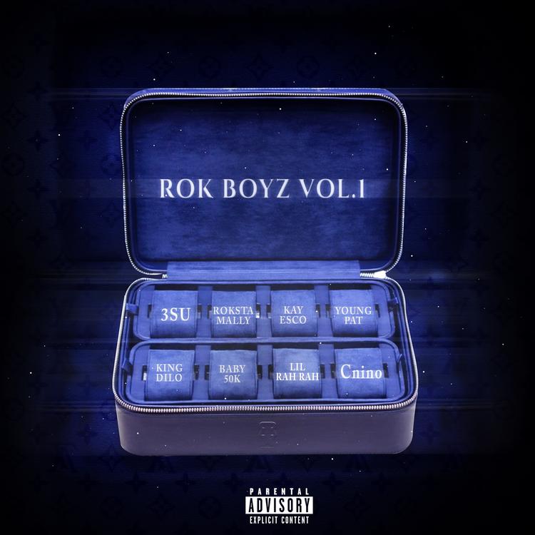 Rok Boyz's avatar image