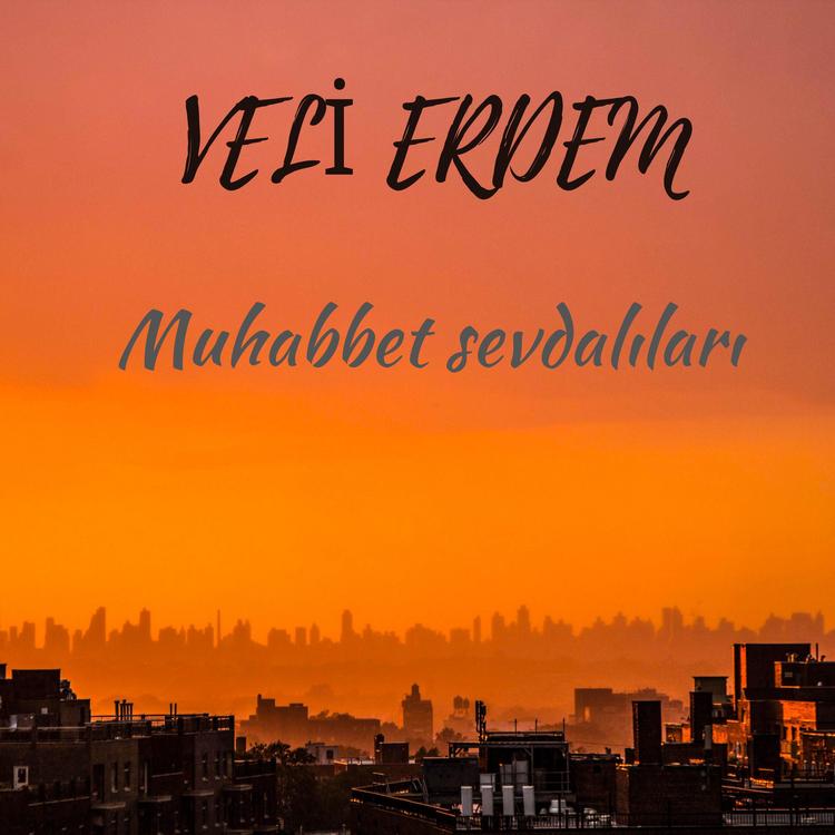 Veli Erdem's avatar image