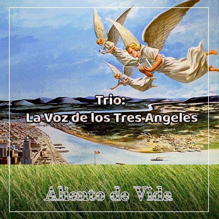 Trio la Vos de los Tres Angeles's avatar image