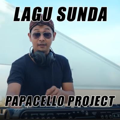 PAPACELLO PROJECT's cover