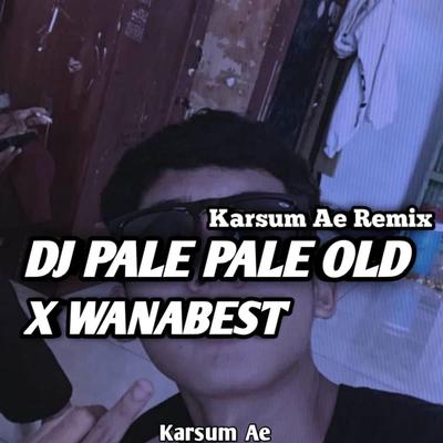 DJ PALE PALE OLD X WANABEST INS's cover