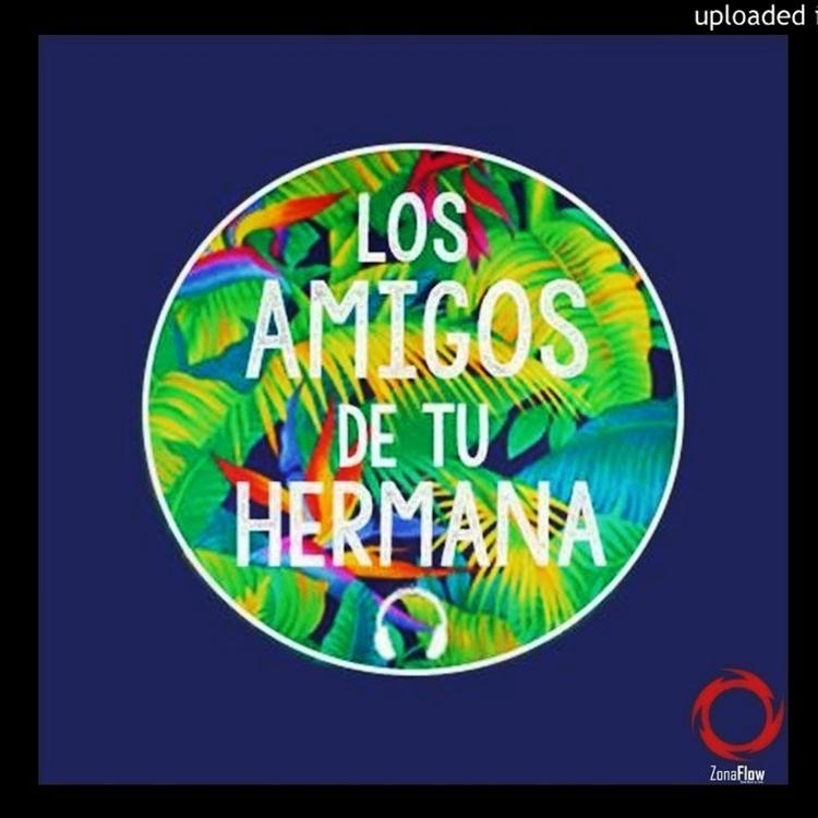 Los Amigos De Tu Hermana's avatar image