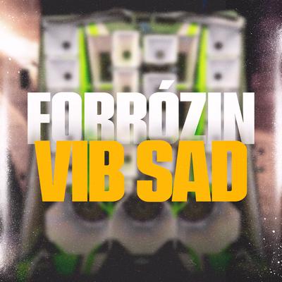 Forrózin Vib Sad By JM Remix's cover