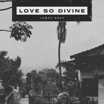 Love So Divine's cover