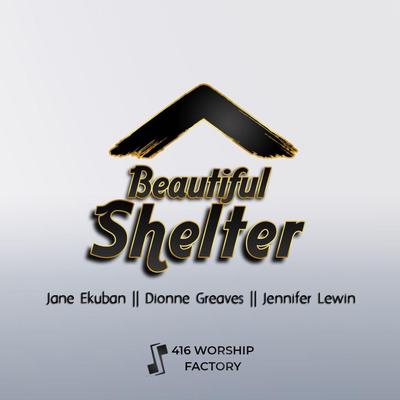 Beautiful Shelter's cover
