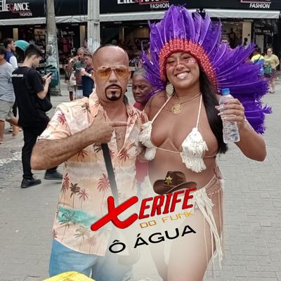 Xerife do Funk's cover