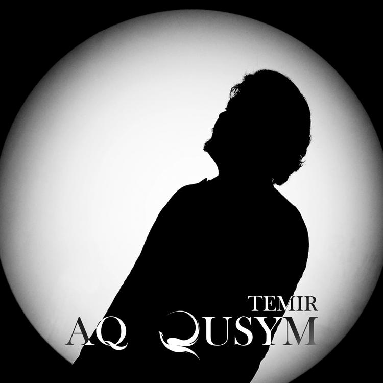 TEM1R's avatar image