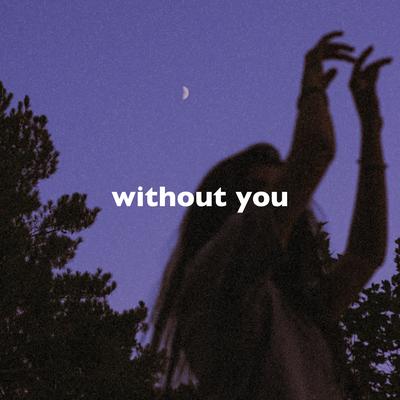 Without You (Slowed + Reverb)'s cover