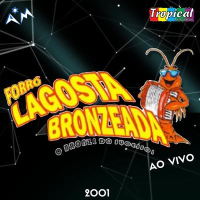 Quer Ver Eu Querer, Me Dê (Ao Vivo) By Lagosta Bronzeada's cover