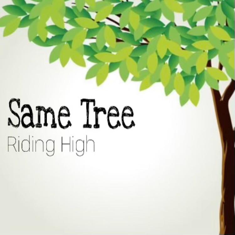 Riding High's avatar image