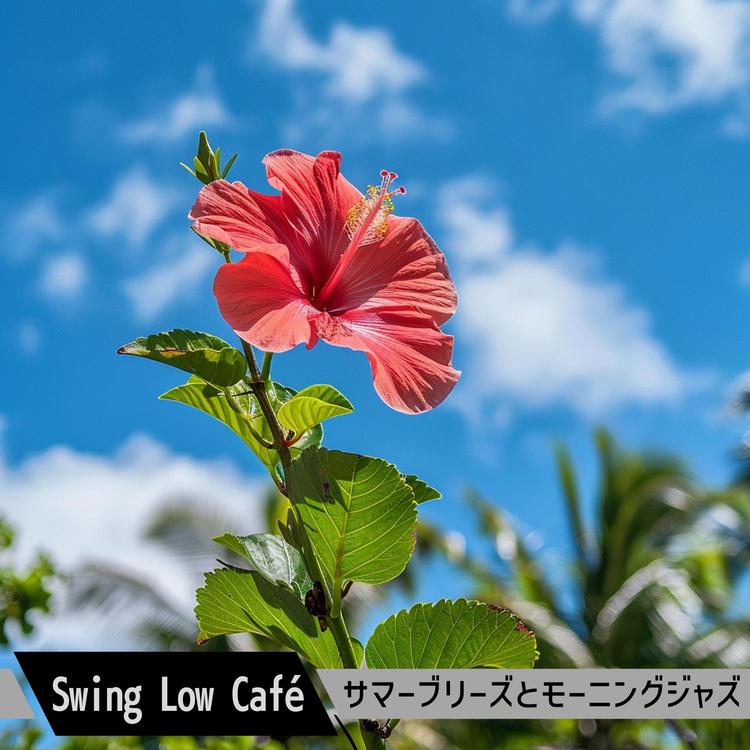 Swing Low Café's avatar image