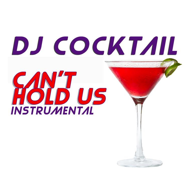 DJ Can't Hold Us's avatar image