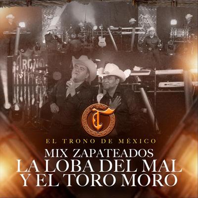 Mix Zapateados La Loba del Mal y el Toro Moro (En Vivo)'s cover
