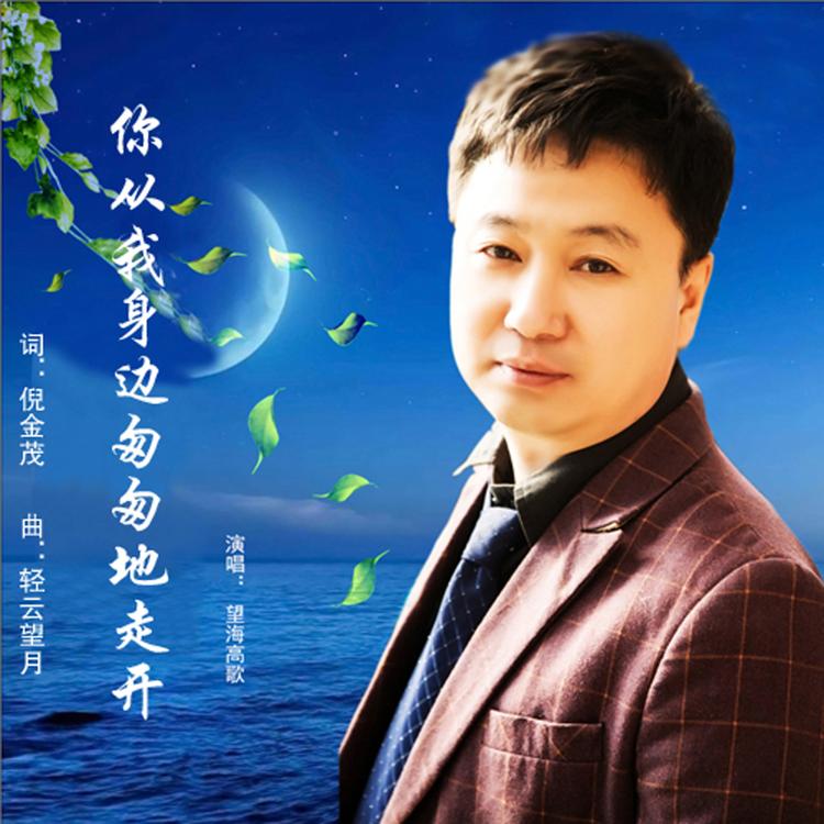望海高歌's avatar image