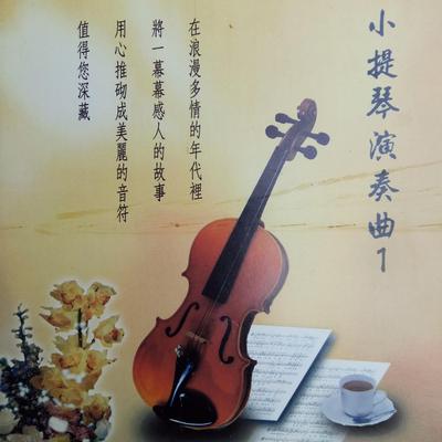 小提琴演奏曲 Vol.1's cover