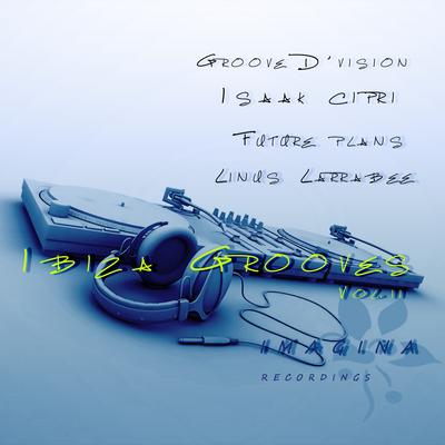 Ibiza Grooves, Vol. 2's cover