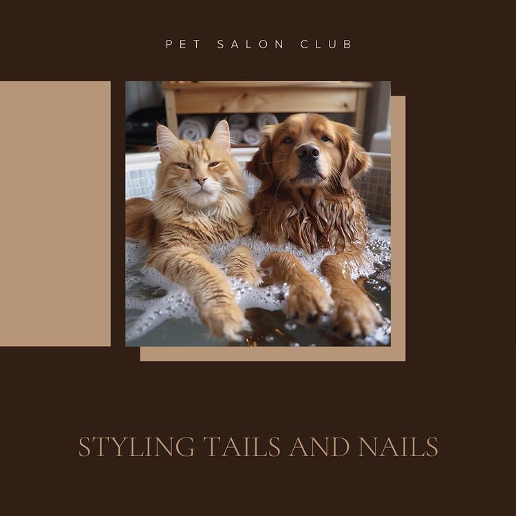 Pet Salon Club's avatar image