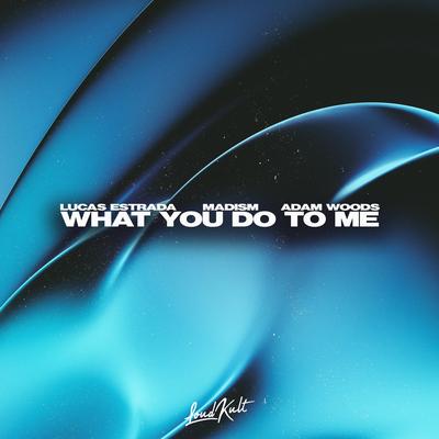 What You Do To Me By Madism, Lucas Estrada, Adam Woods's cover