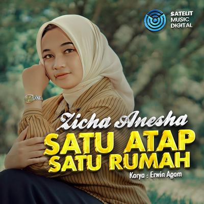 Zicha Anesha's cover