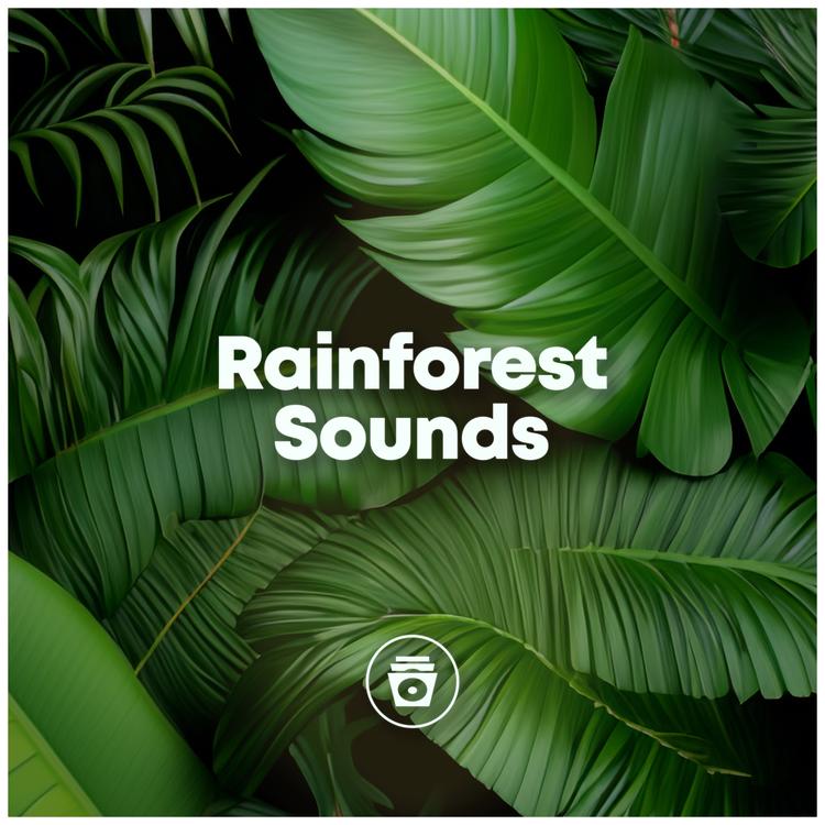 Sounds of Nature's avatar image