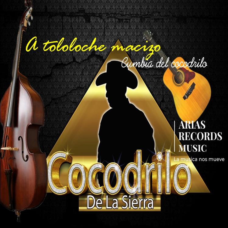 Cocodrilo De La Sierra's avatar image