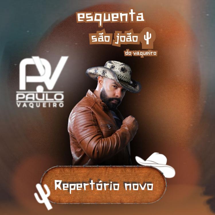 Paulo Vaqueiro's avatar image