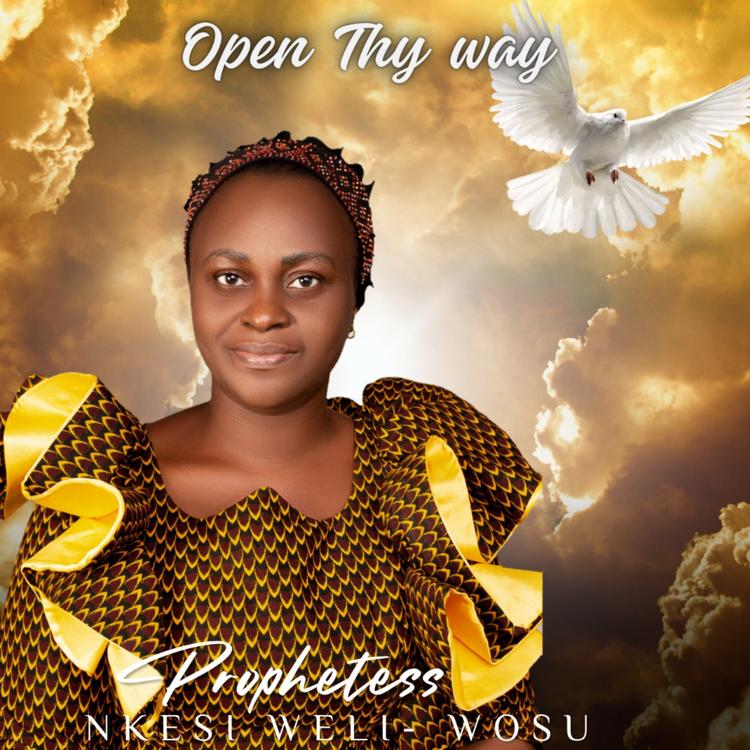 Prophetess Nkesi Weli Wosu's avatar image